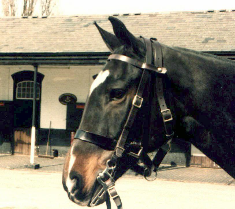 Ron 1980