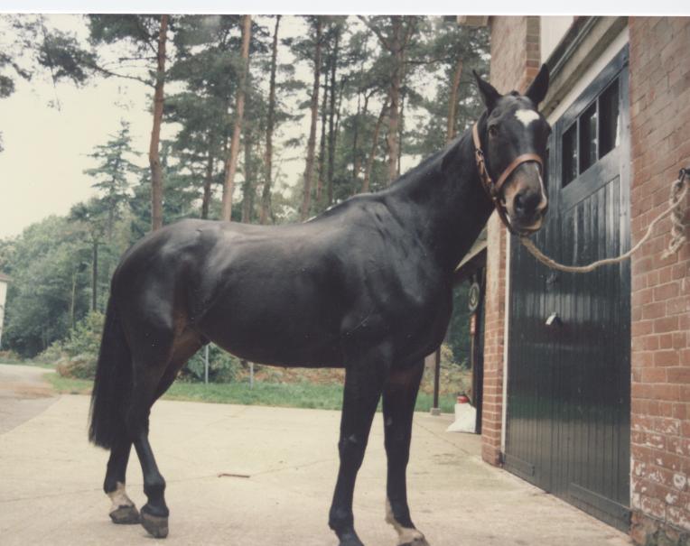 Ron Bordon Circa 1983