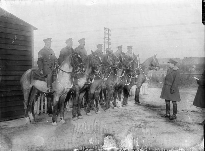 inspection of mmp 1916