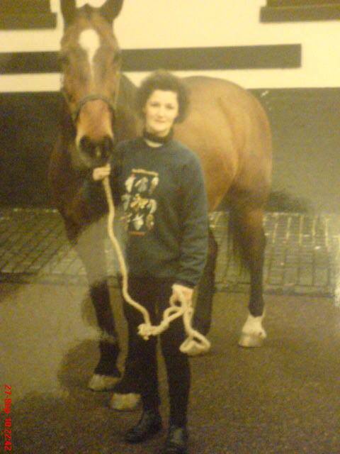 stables 2